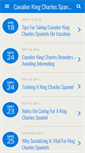 Mobile Screenshot of cavalierkingcharlesspanielsavvy.com